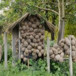 Astuces pour prévenir l'apparition de nids de guêpes et frelons dans votre jardin